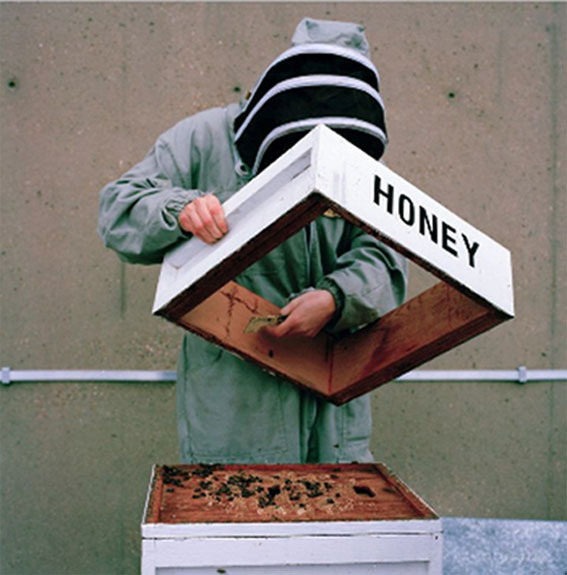 honey