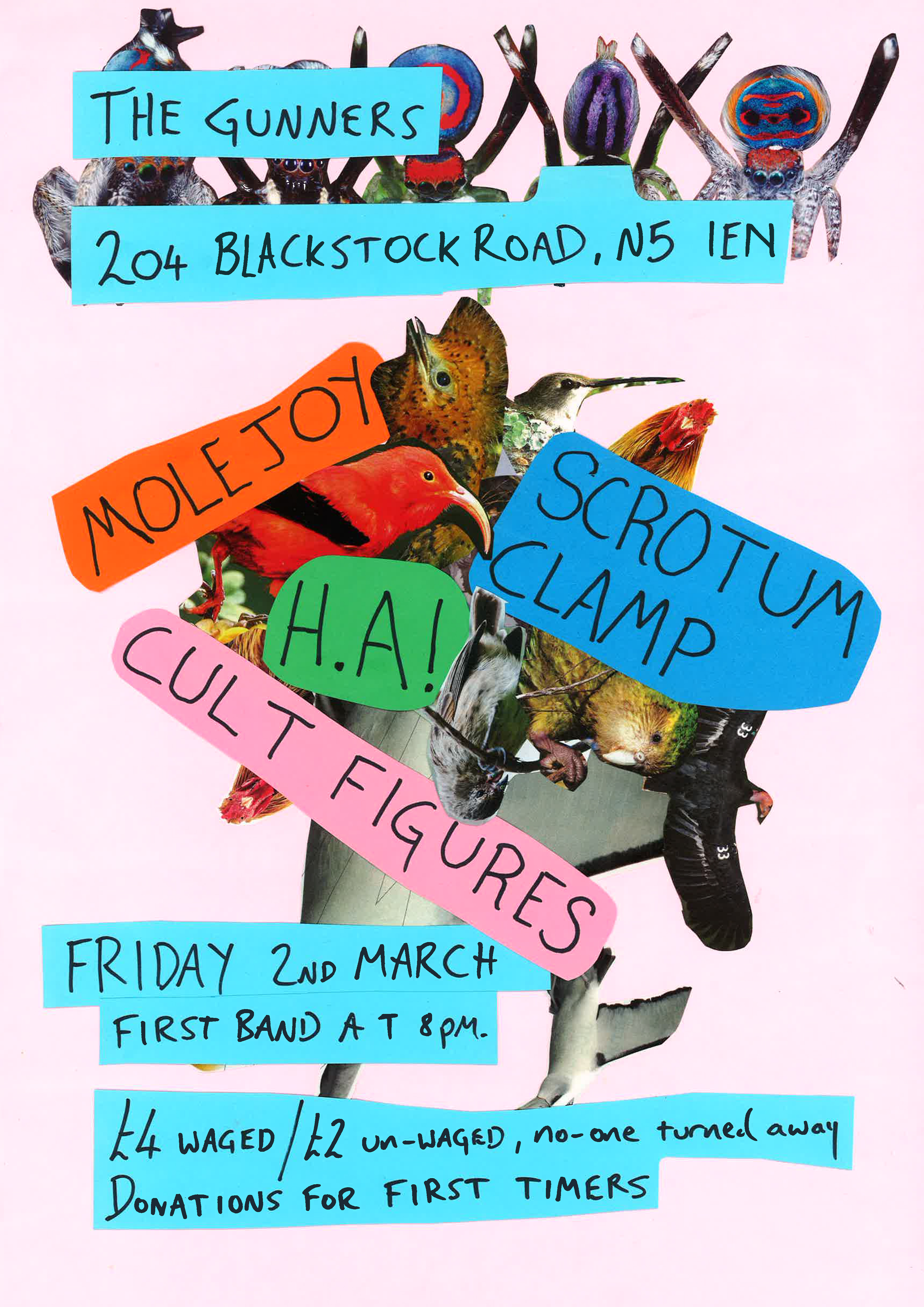 Molejoy, Scrotum Clamp, Cult Figures and H.A! Live at The Gunners.