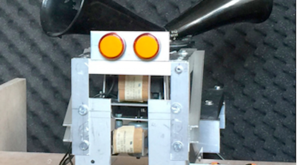 Image of a DIY robot